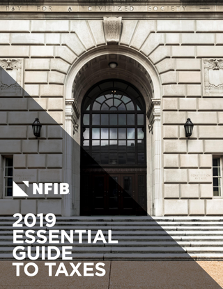 2019 Essential Guide to Taxes