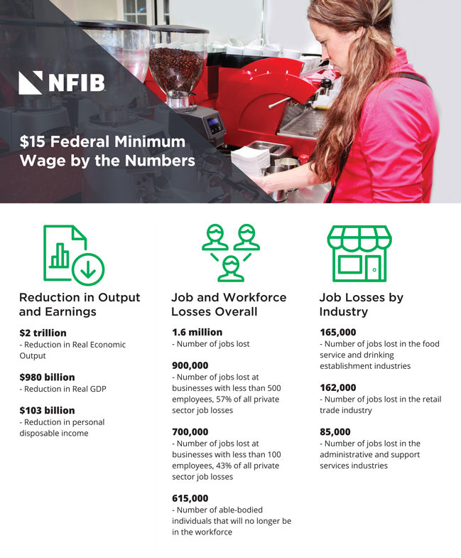 Minimum Wage Infographic