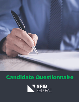 The Candidate Questionnaire